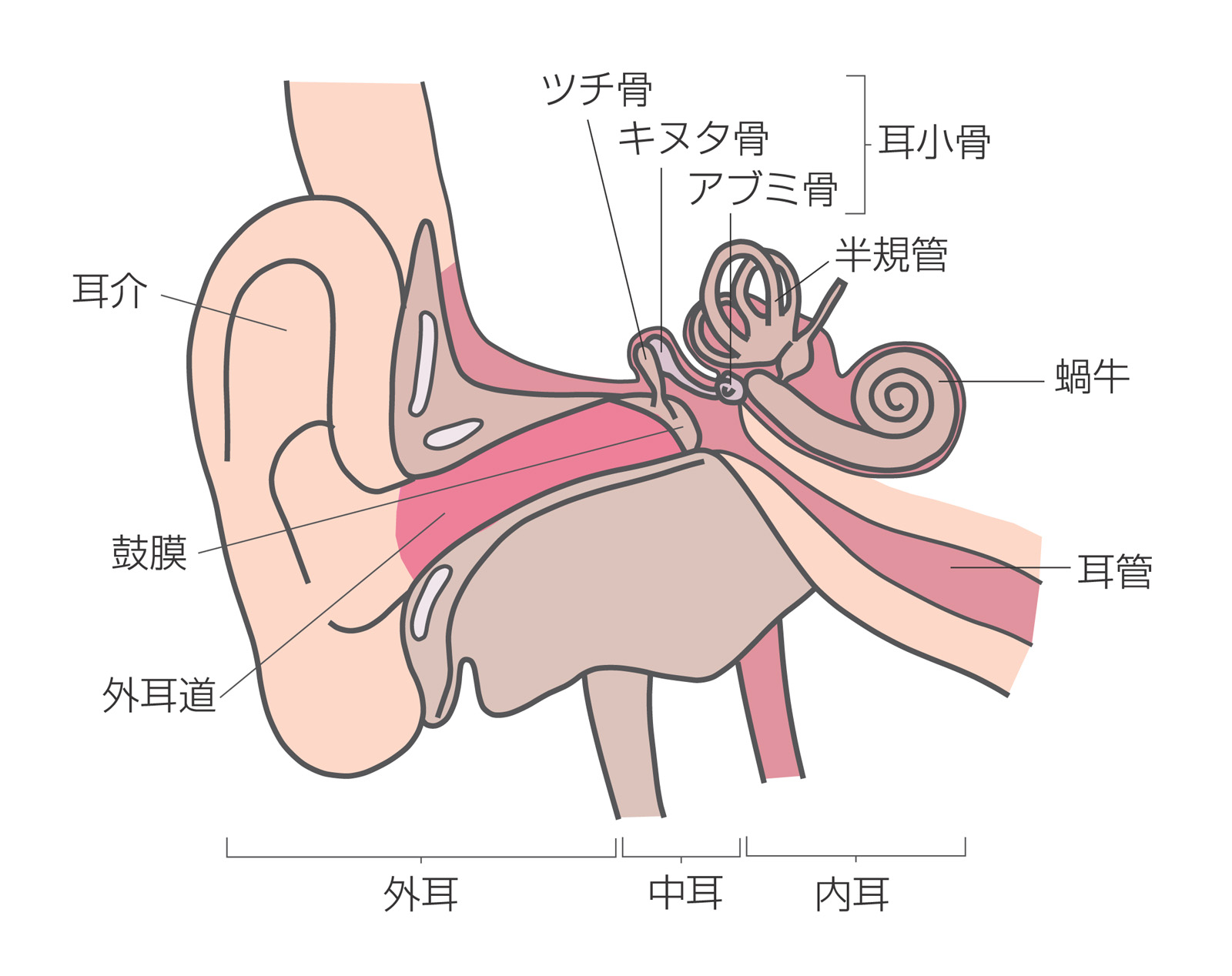 1920石圧縮
